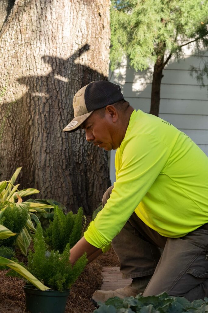 our landscape design process