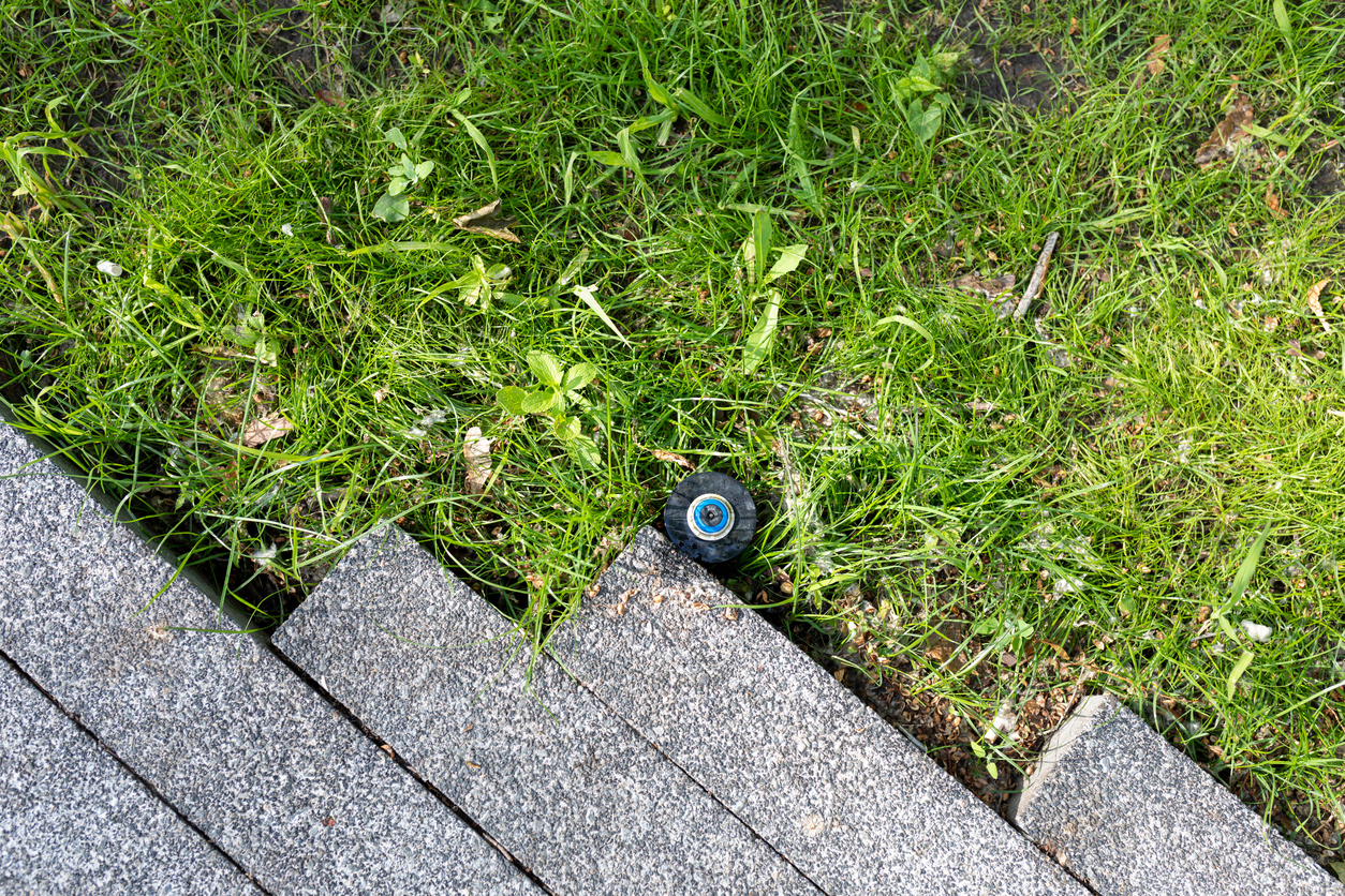 A gray sprinkler head is located near the edge of a patch of bright green grass, just next to a neatly paved area with rectangular stone tiles. This setup embodies the meticulous attention to detail characteristic of New Orleans Landscape Design, making the sprinkler starkly visible amidst the foliage.