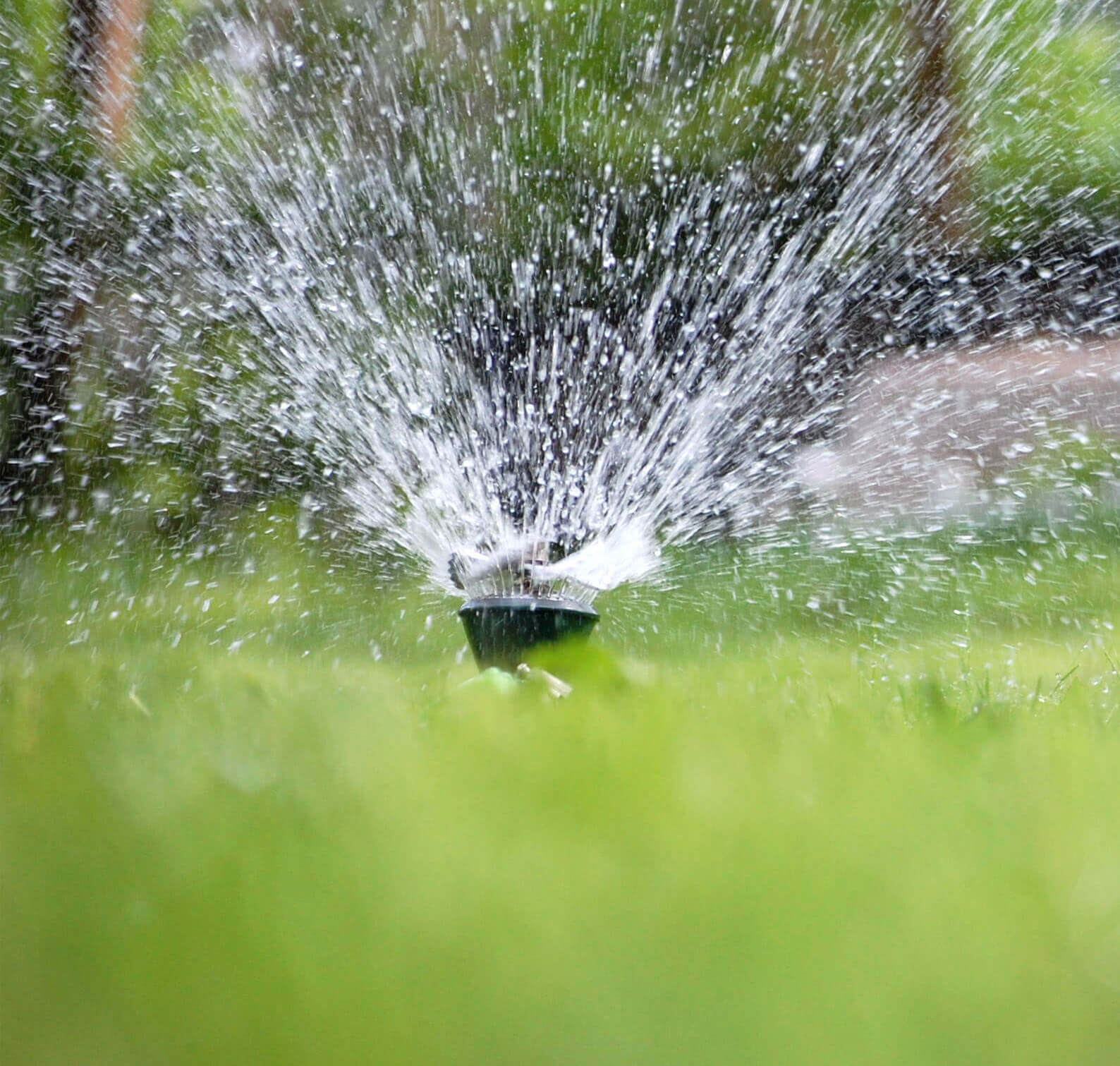 A garden sprinkler disperses water in a circular pattern, reminiscent of New Orleans' vibrant spirit, scattering droplets in all directions. The lush green grass is in focus, while the background is blurred, highlighting the freshness and vitality brought by efficient irrigation.