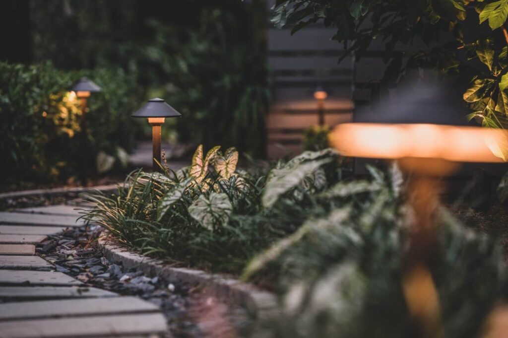 A serene garden scene with landscape lights providing soft, warm illumination over lush green plants and ferns. The stone pathway curves gently, bordered by natural foliage, enhancing the peaceful ambiance.