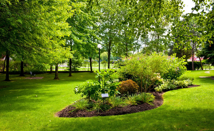 keeping lush landscape during drought