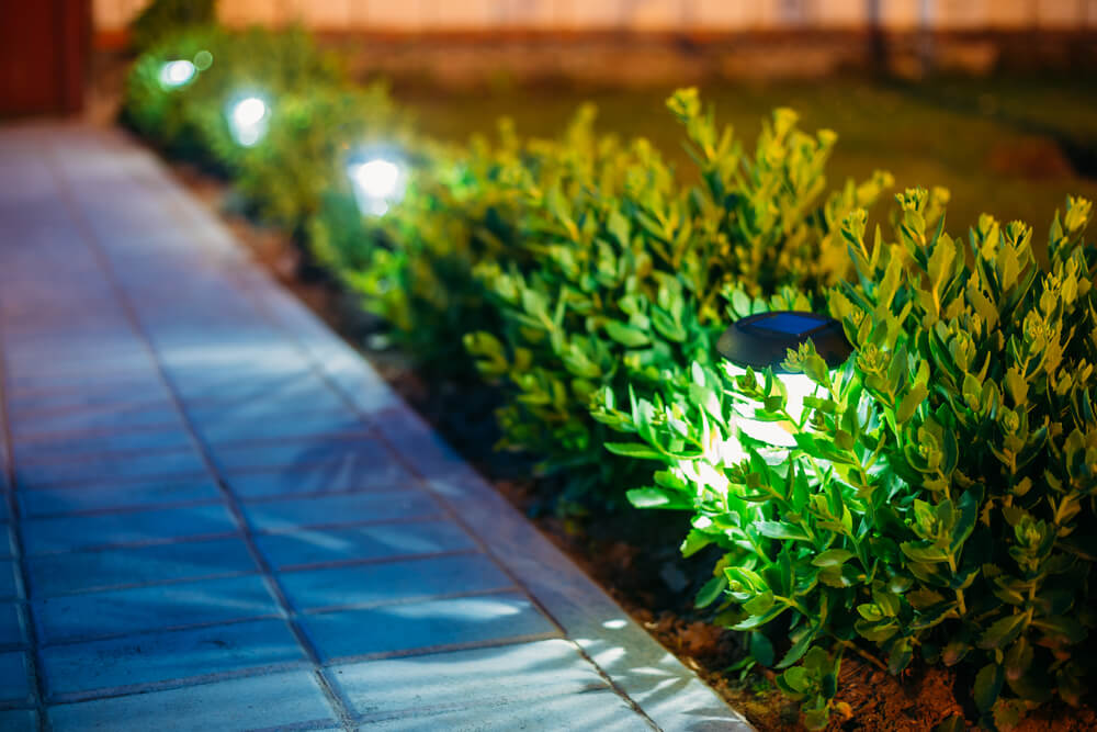 A row of solar-powered garden lights illuminates a stone-paved pathway, seamlessly enhancing the landscape lighting in New Orleans. Nestled in lush green shrubbery, the lights create a serene outdoor ambiance during twilight.