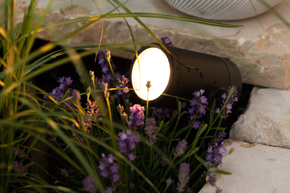 A garden spotlight illuminates vibrant purple flowers and green foliage, surrounded by light-colored stone slabs. This exquisite landscape lighting captures the serene ambiance of a peaceful outdoor area in New Orleans.